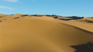 کویر ورزنه