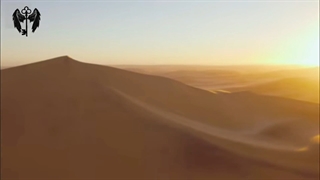 پیتر نیمبل. گروه آلوهومورا