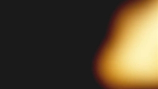 میوه ای که باعث خوشگل شدن می شود