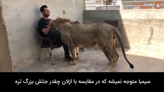 دوستی مردی به اسم ازلان و شیر