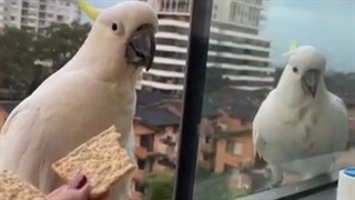 ♡~♡      *توضیحات*