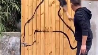 نقاشی مانندآب است که هرشکلی به خود می‌گیرد ‌‌‌‌‌‌‌‌‌‌‌‌‌‎‌‌‌‎‌‌‌‌‎‌‌‌‌‌‌‌‌‌‌‌‌‌‌‌‌‌‌‎‌‌‌‎