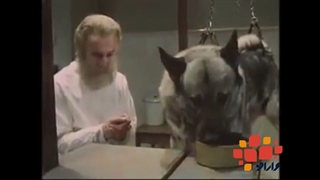 رفتار درمانی پاولفی مدرسه روانشناسی واران