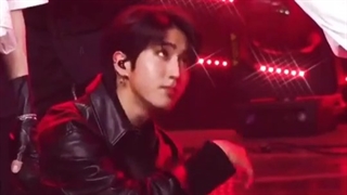 فنمید از هان و لینو (stray kids)