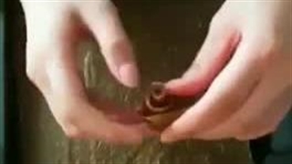 اموزش درست کردن لواشک سیب