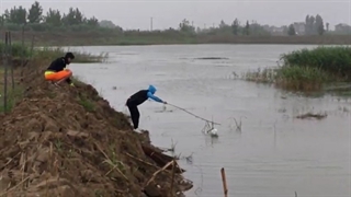 طرز صحیح بیرون آوردن توپ از آب!