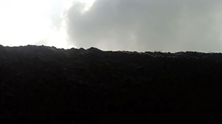 فیلمبردار-حسام الدین شفیعیان