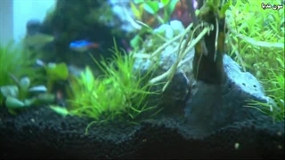 شاهزاده زیر شیروانی قسمت 11زیرنویس چسبیده