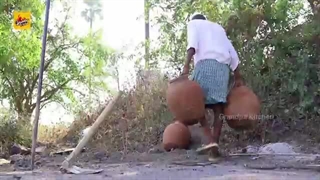 غذای لذیذ بریانی