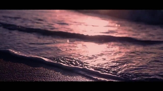 Complicated _amber liu