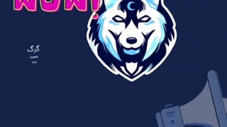 ویدیو گرافیکی ؛ گرگ 