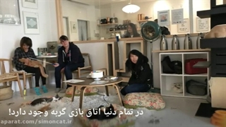 اتاق بازی با گربه ها | کافه گربه ها در دنیا
