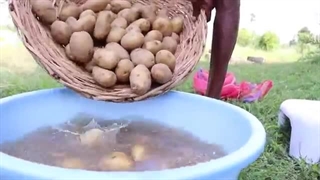 ضیافت غذایی لذیذ