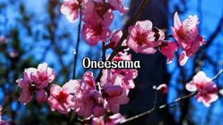 Hana Kage (Cherry Blossoms) - Hako Yamasaki with Lyric - JPOP