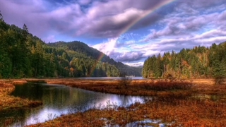 ترانه: قشنگتر از پری ها