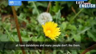 آموزش زبان و مکالمه زبان انگلیسی _ افعال بی قاعده