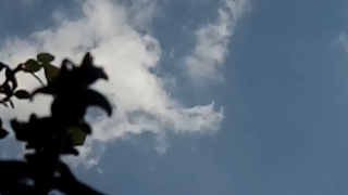 فیلمبردار-حسام الدین شفیعیان