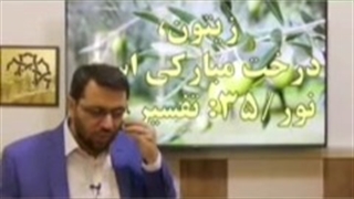 سبک زندگی-زیتون