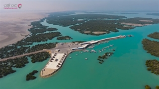 جنگل دریایی حرا | قشم