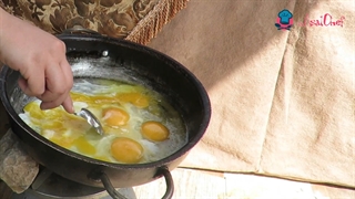 صبحانه در دل طبیعت