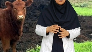 ضدعفونی کود حیوانی بصورت ارگانیک