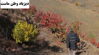 مستند دیزباد کاری از رضا خوشدل