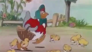 جیپ - جیپ جوجهلریم