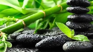 سی دقیقه از نوای آب روان با همراهی خنیا و آهنگ آرام بخش