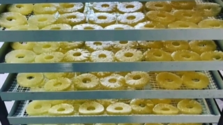 خشک‌کن صنعتی،نیمه صنعتی،خانگی میوه و‌سبزی،چای زعفران،انگور،گلسرخ،لواشک،خشک‌کن حبوبات،غلات،لبنیات،صابون،گیاهان دارویی،شیمیایی