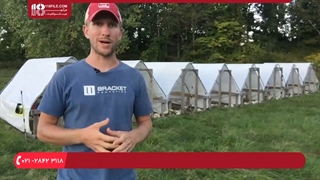 آموزش پرورش مرغ محلی - پرورش مرغ های گوشتی در هفته چهارم