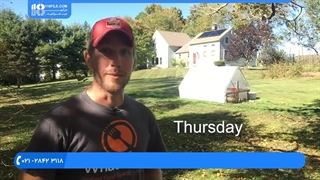 آموزش پرورش مرغ محلی - پرورش مرغ های گوشتی در هفته آخر