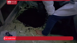 آموزش پرورش قارچ - پرورش قارچ خوراکی