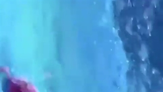 ♡چالش دوست شناسی هنر مندان♡