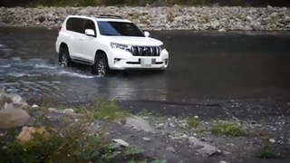 کاربرد و عملکرد کارپرو