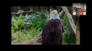 جلسه پنجم کلاس سایو