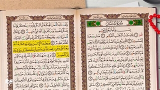 تفسیر تربیتی از نگاه قرآن؛ احترام به پدر و مادر- قسمت اول