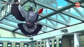 میراکلس لیدی باگ فصل 4 قسمت 6 اقای کبوتر 72 با زیرنویس فارسی