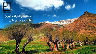 شرایط خرید ویلا در میگون