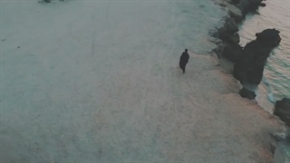 دانلود تیزر تصویری آهنگ مهریار به نام گل من پیلینگ