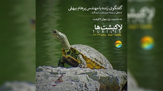 لاکپشت‌ها و رفتارهای جالب این جانور