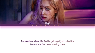 Rose _ on the ground