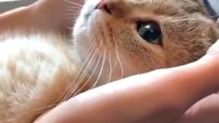 19.دشتاشو نیگا❤️اخیی