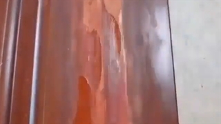 21.پدر جد جاساز