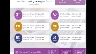 وبسایت سرمایه گذاری معتبر نکس ترید باکس با نزدیک به 2 سال فعالیت دربازار کریپتو