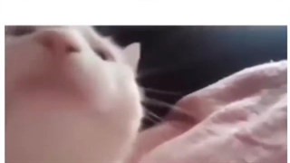 وضعیت مغزم سر جلسه امتحان 