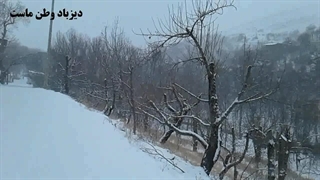 برف و باران توامان دیزباد
