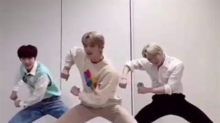 تیک تاک استرو