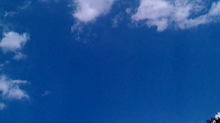 فیلمبردار-حسام الدین شفیعیان