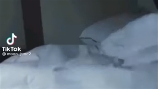 تصور کن بی تی اس |وقتی ......