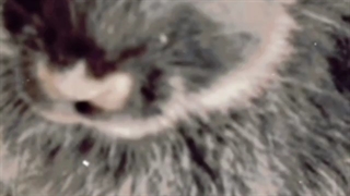 استوری غمگین بدون متن